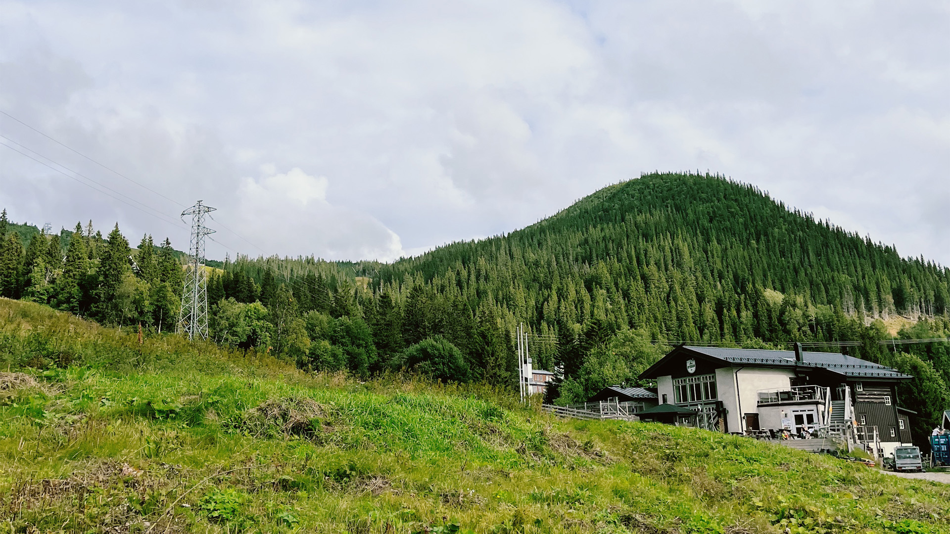 Grönskande landskap i Sverige med tallbevuxen kulle och byggnad vid sluttningen under molnig himmel