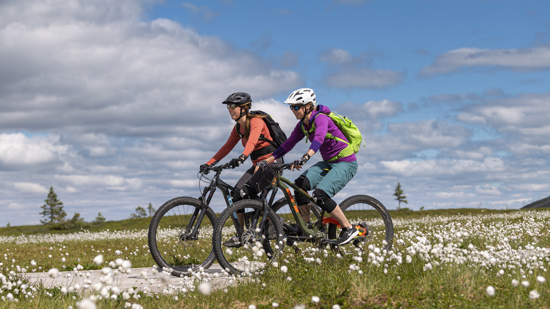 Två personer cyklar på en stig genom en blommande fälldal under en klarblå himmel