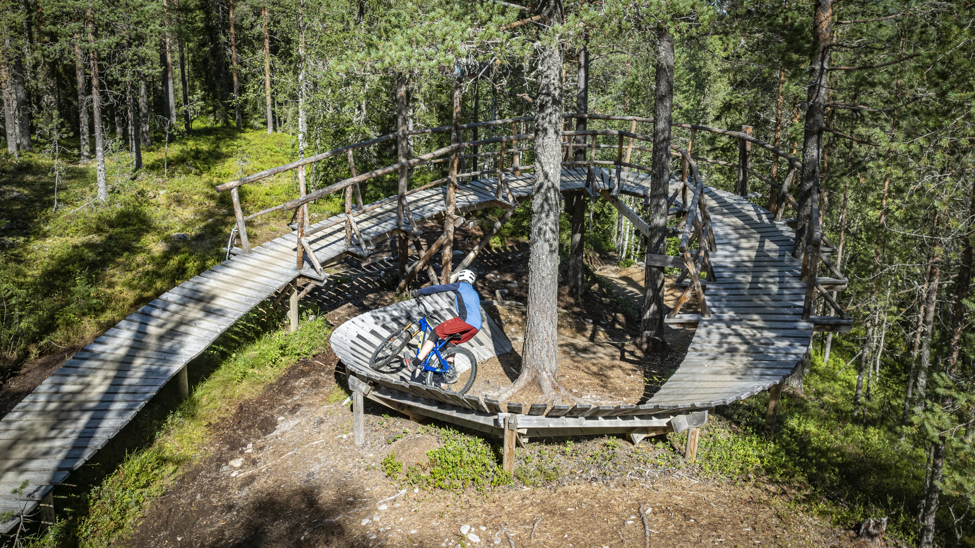 Cyklist på en slingrande träbro i en skog, mitt i mångsidig grönska och natur