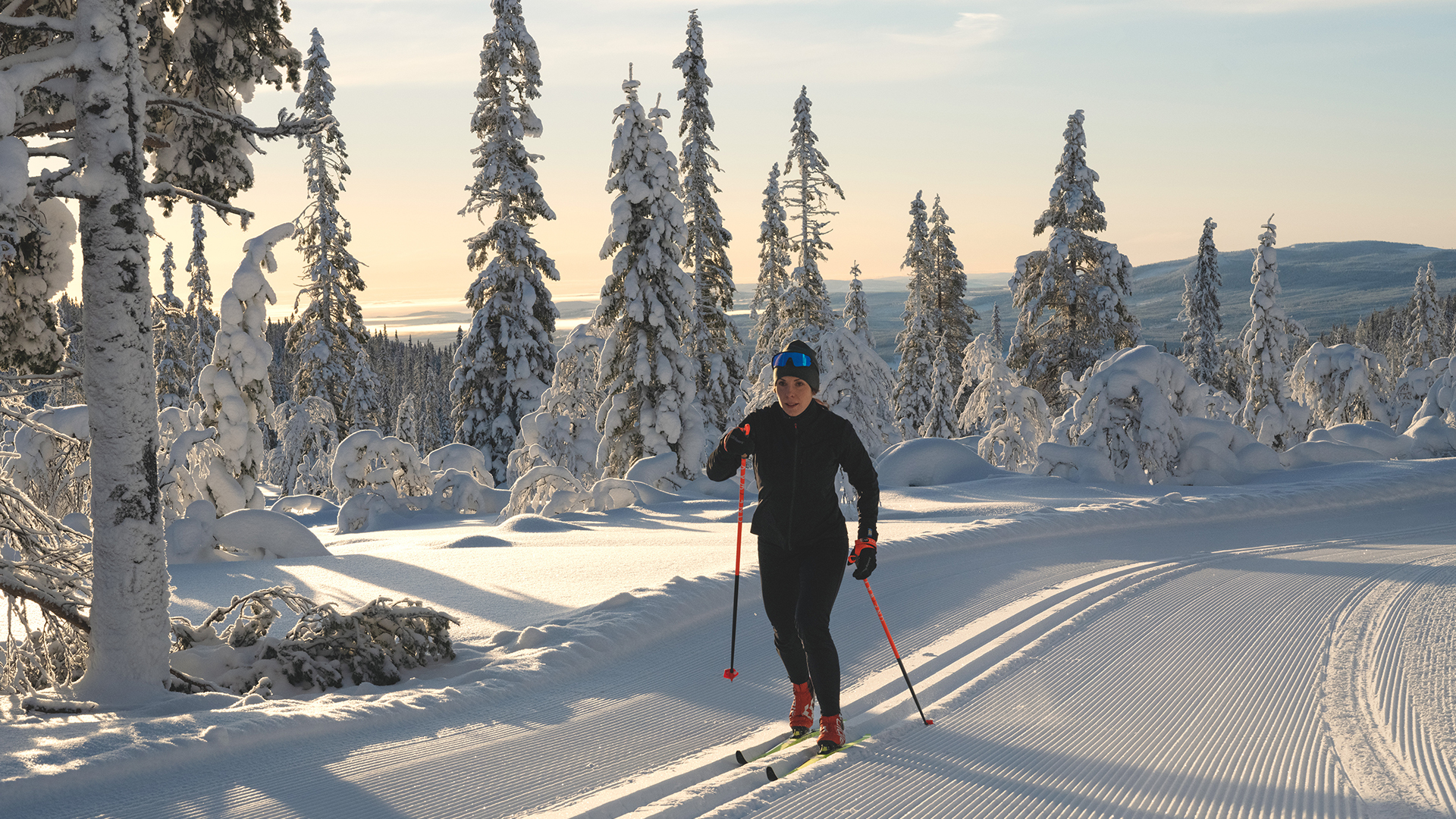 Person som åker längdskidor på spår i en snöig skogsmiljö med frodiga träd och klar himmel