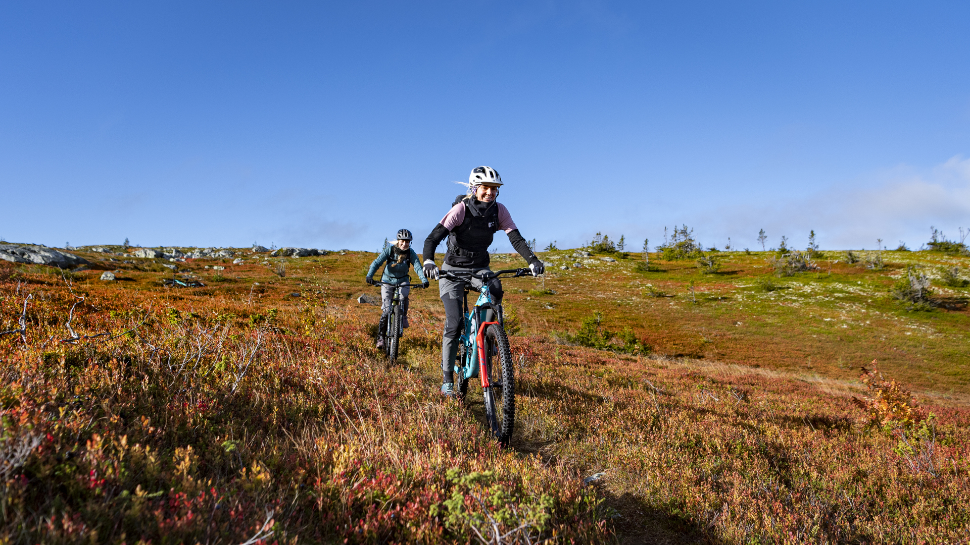 Cykling i fjällen under klarblå himmel, två personer på mountainbikes åker genom färgglad höstnatur i Sverige