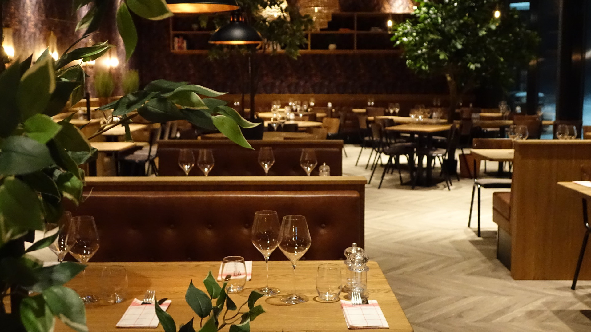 Restauranginteriör med träbord, bruna läderstolar och elegant dukning, omgiven av gröna växter och mjuk belysning