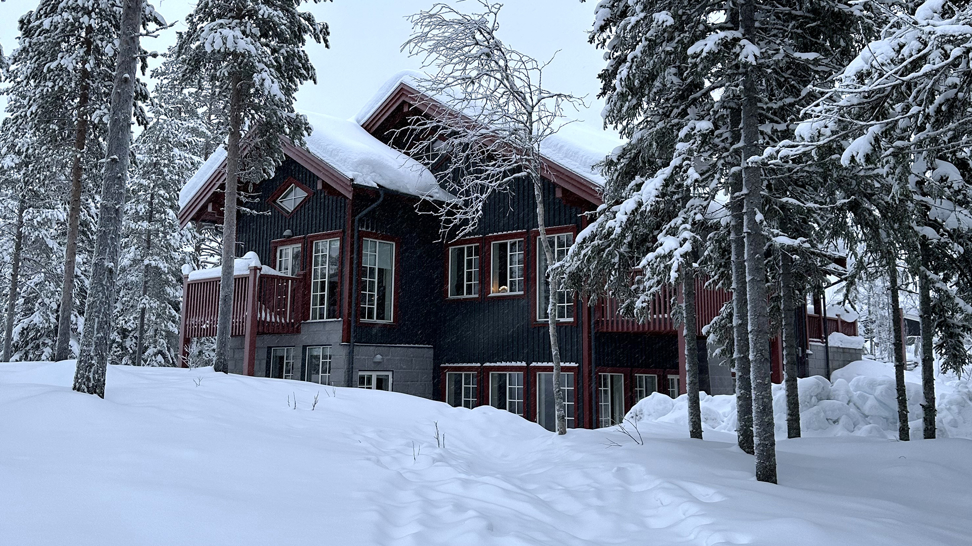 Snötäckt stuga omgiven av tallar i vinterskog
