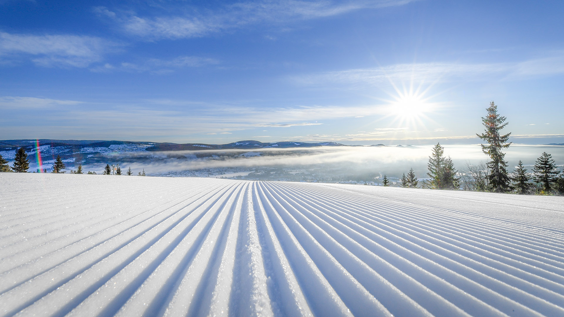 Frisch präparierte Skipiste im strahlenden Sonnenschein, umgeben von schneebedeckten Bäumen und Bergen in der Ferne unter einem klarblauen Himmel
