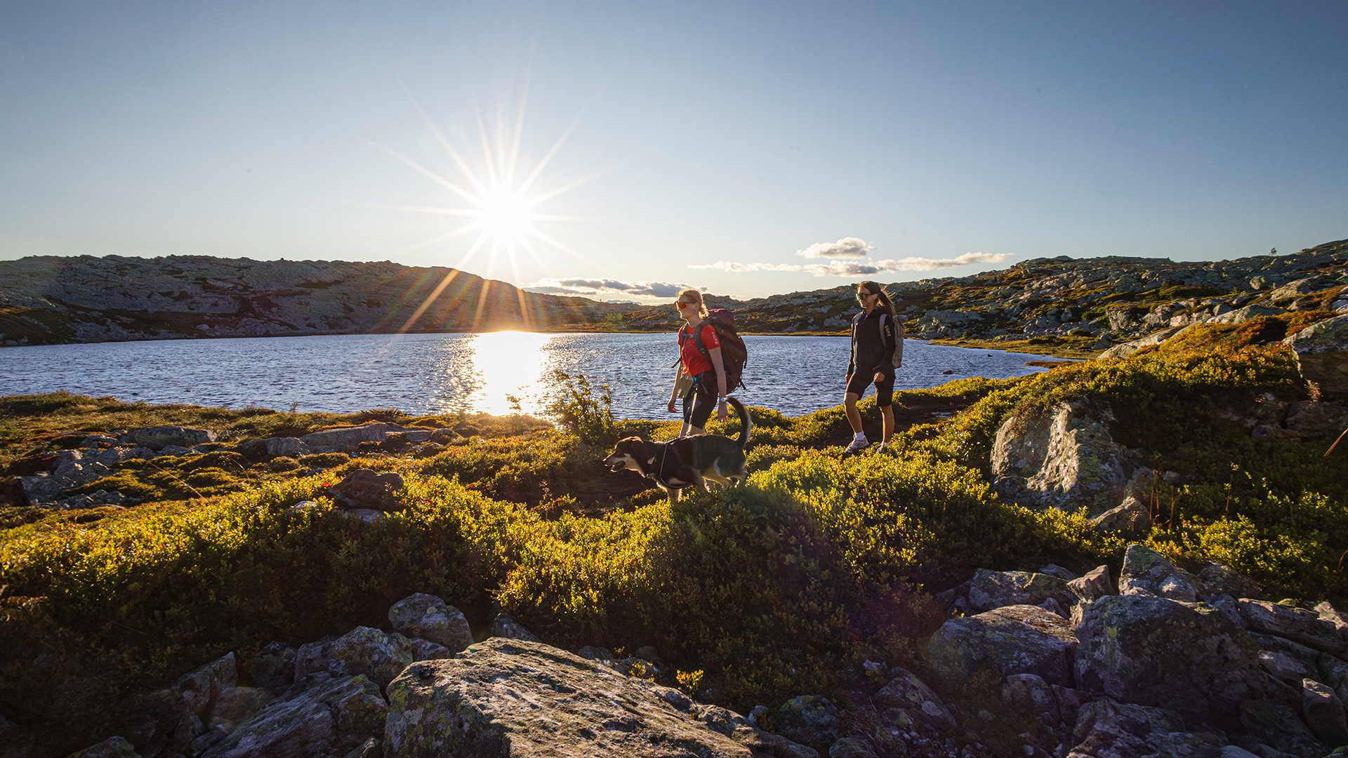 Vandrare med ryggsäckar och hund vid sjö i solnedgång, fjällandskap