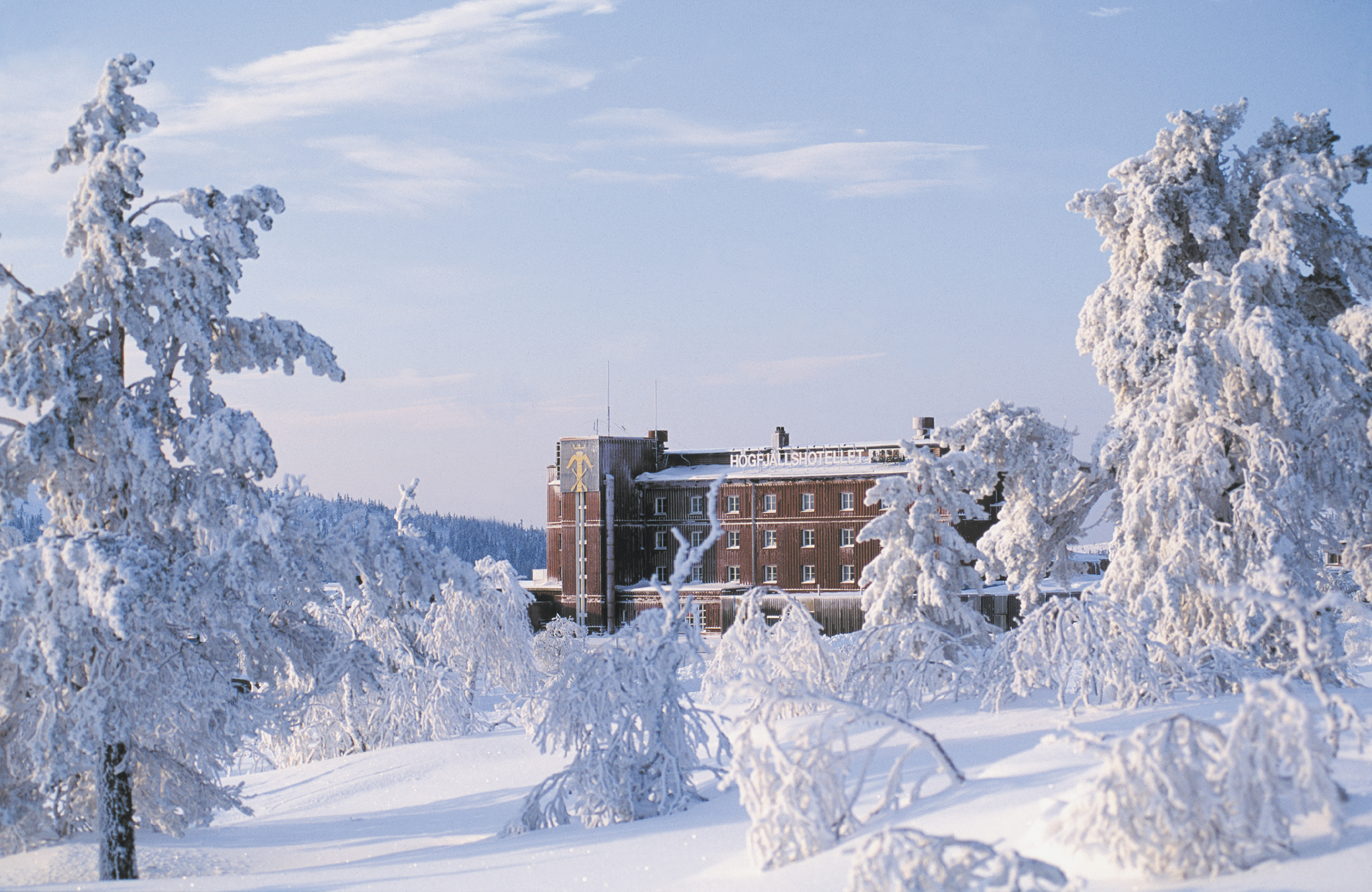 Vinterlandskap med snöklädda träd vid Högfjällshotellet i Sälen, Sverige