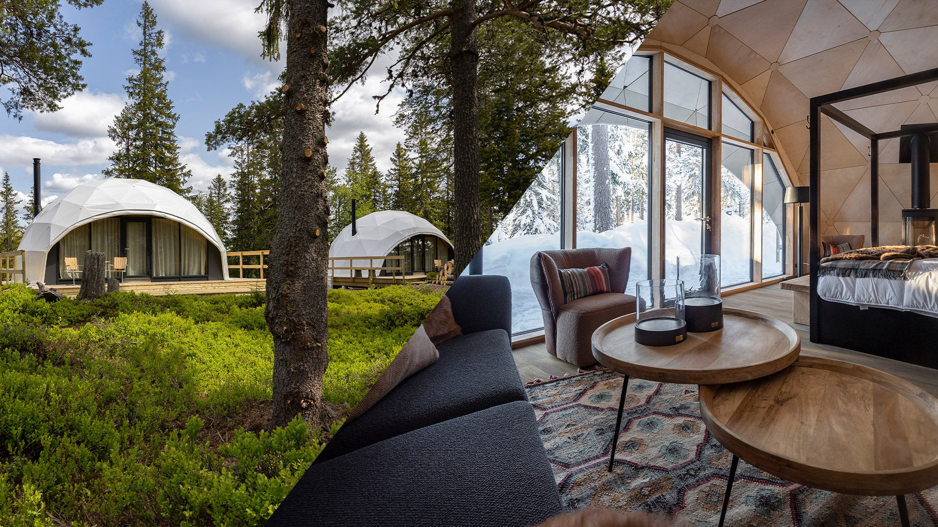 Dome-igloos i naturskön miljö med moderna interiörer, inklusive bekväma soffor och stilrena möbler, omgivna av gröna skogar och snötäckta landskap