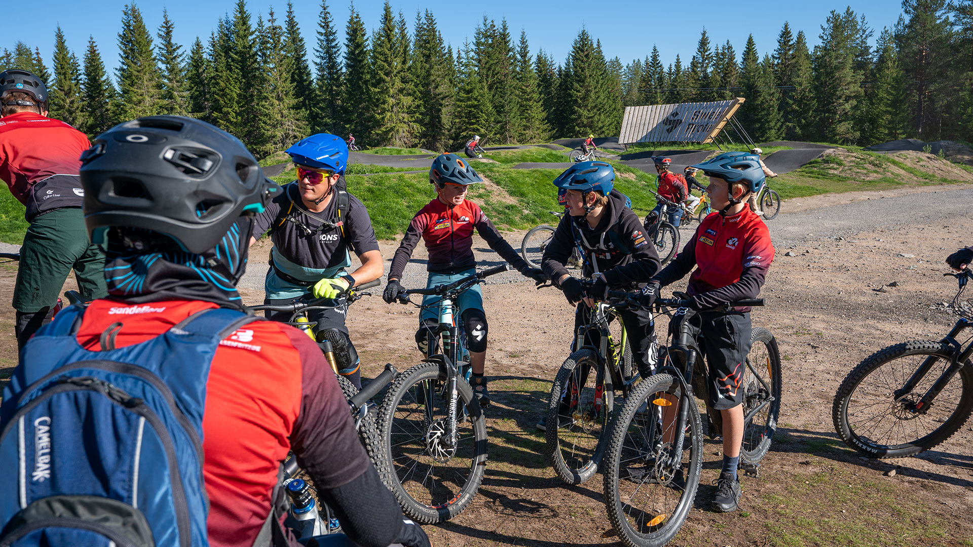 Cykelgrupp i naturpark med cykelhjälmar och utrustning, omgiven av tallskog