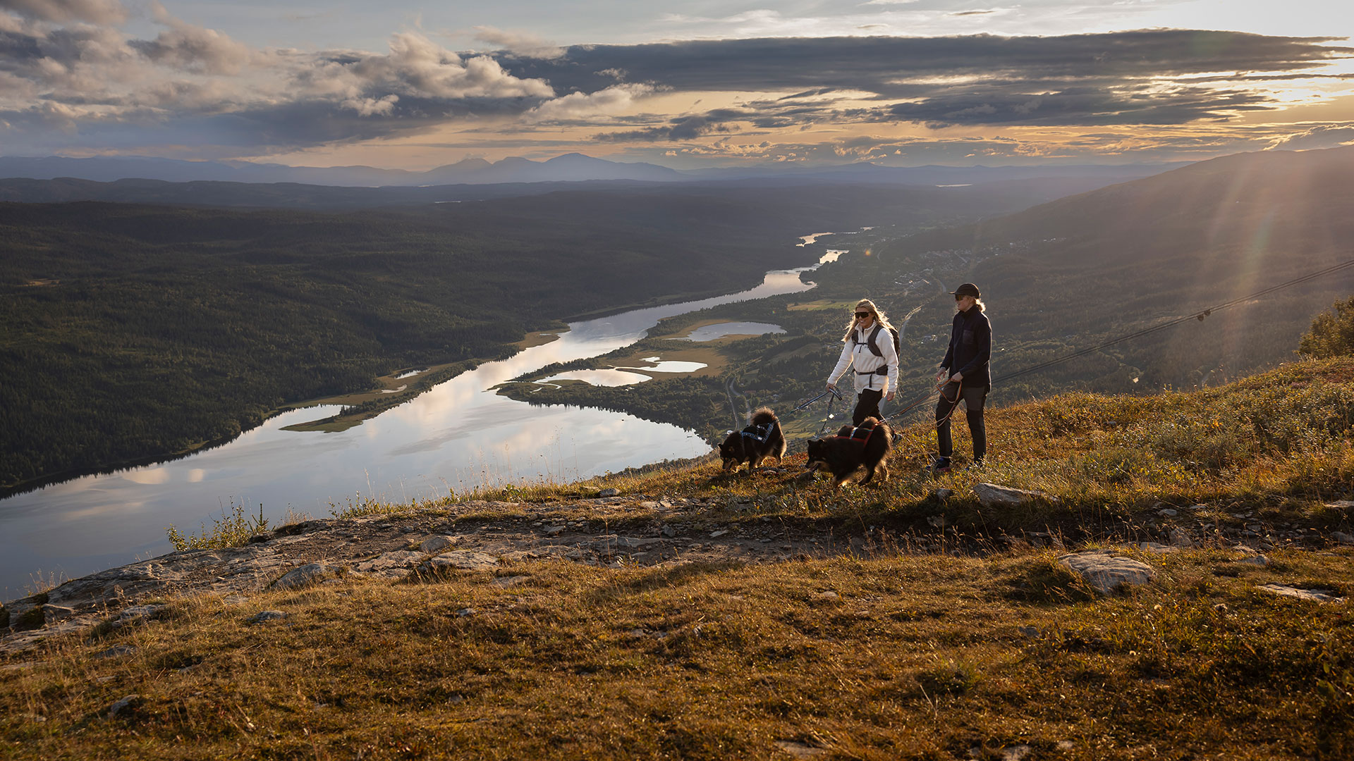 Vandrare med hundar på fjäll, vy över sjö och berg i solnedgång, Sverige
