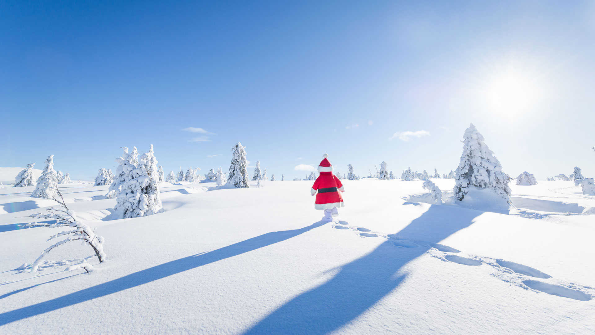 Snögubben Valle på vintrig snötäckt fjäll med soligt väder, omgivet av snötäckta träd och klar blå himmel