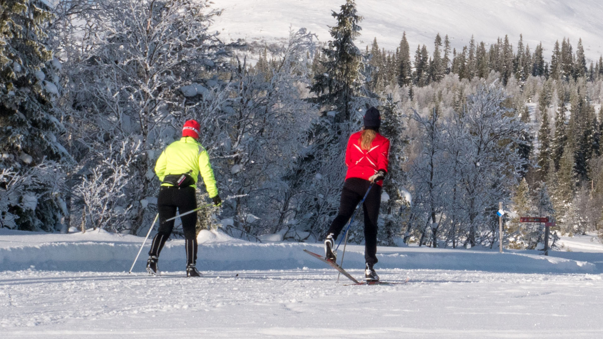 Two people are cross-country skiing in a snowy winter landscape with forest and mountains in the background