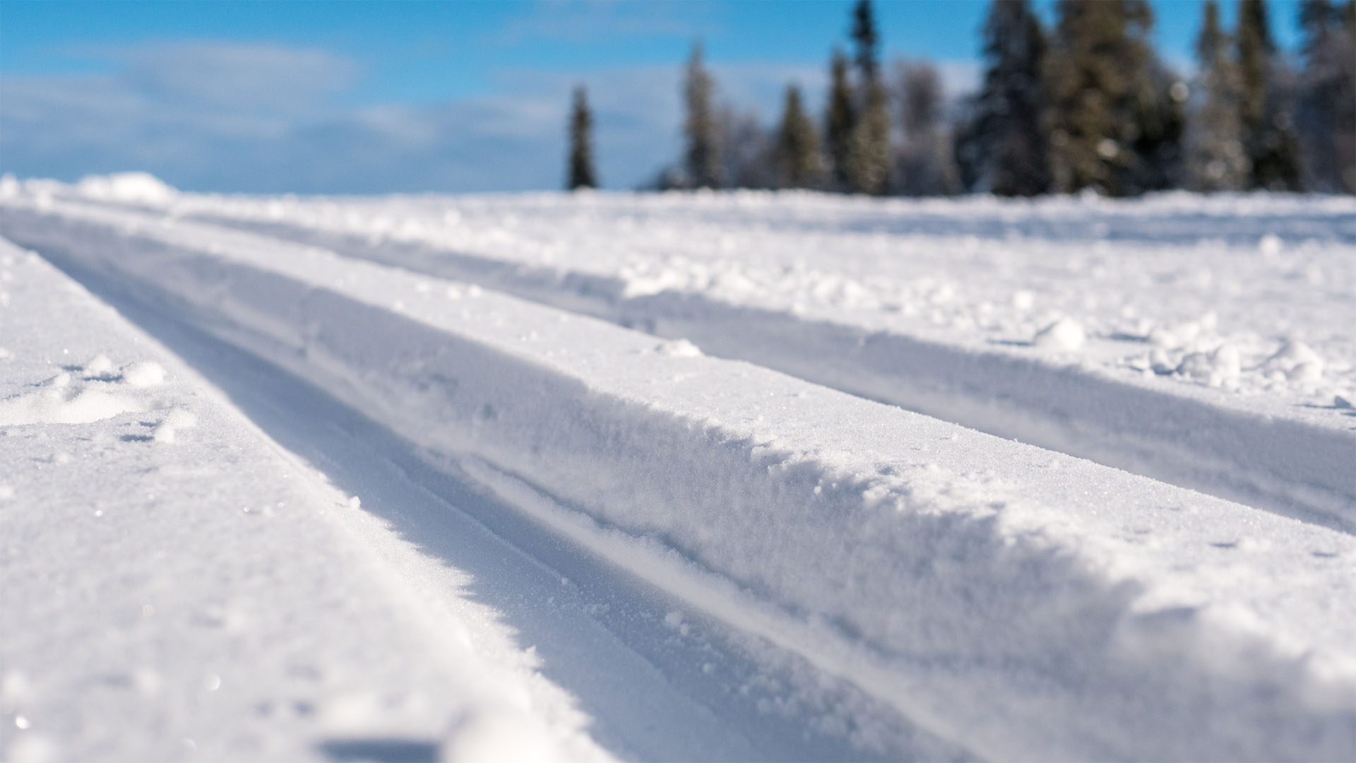 Tracks in the snow for cross-country skiing with a winter landscape and trees in the background
