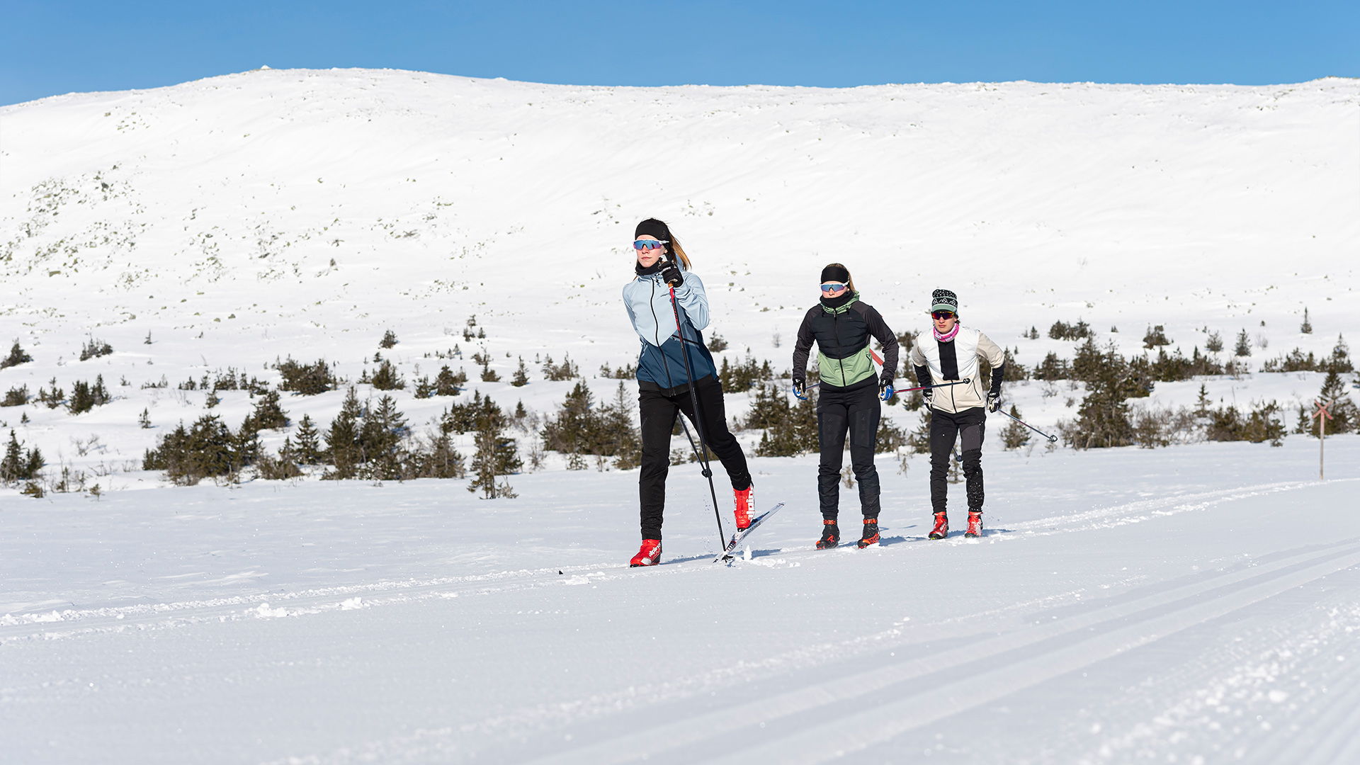 Längdskidåkare i längdspår i fjällen.