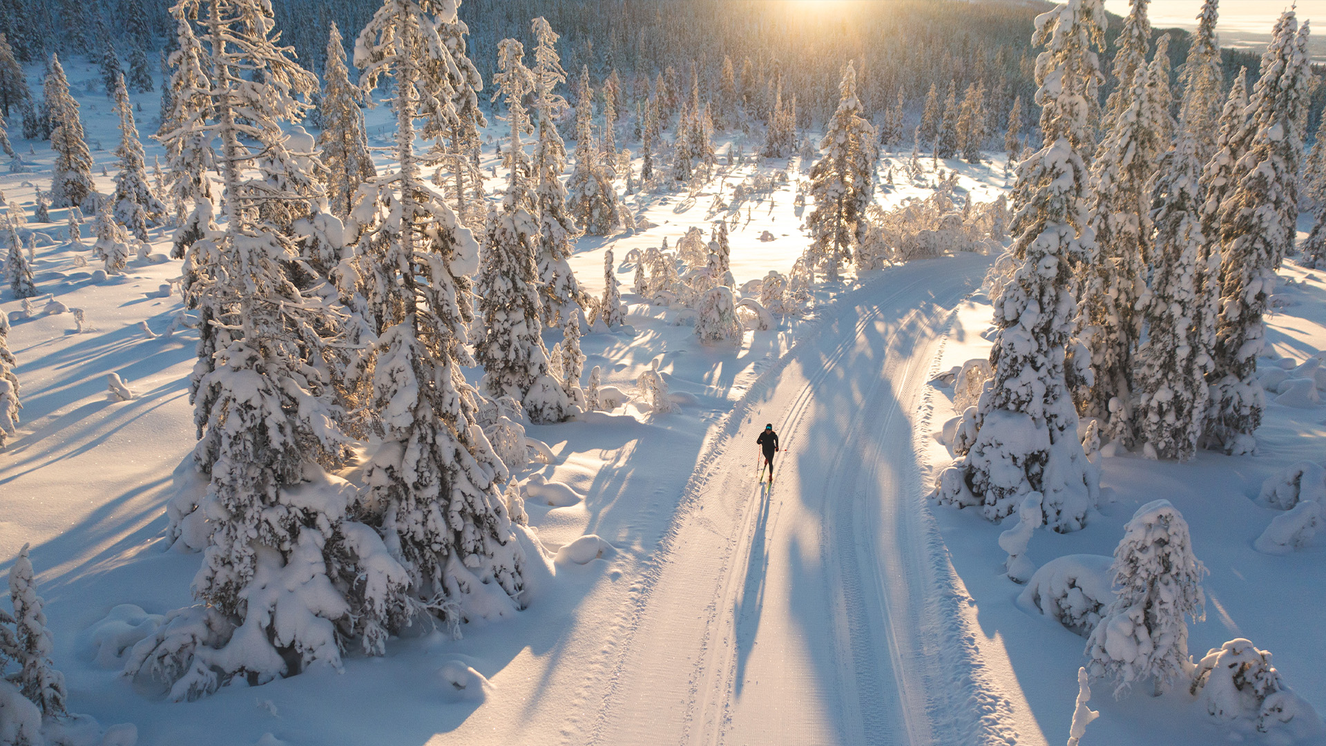 Person som åker längdskidor genom snöklädd skog i solnedgång, vinterlandskap i Sverige