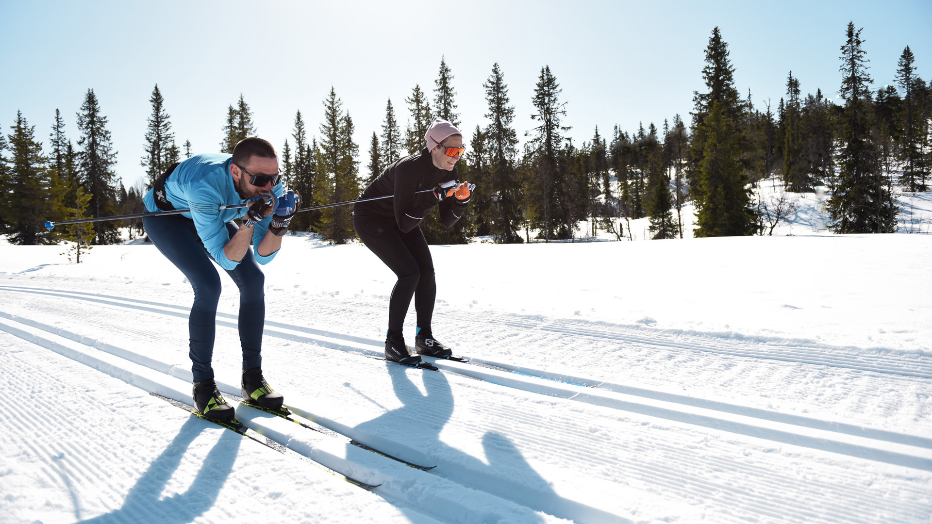 Two people cross-country skiing on a sunny winter day in a snowy forest landscape