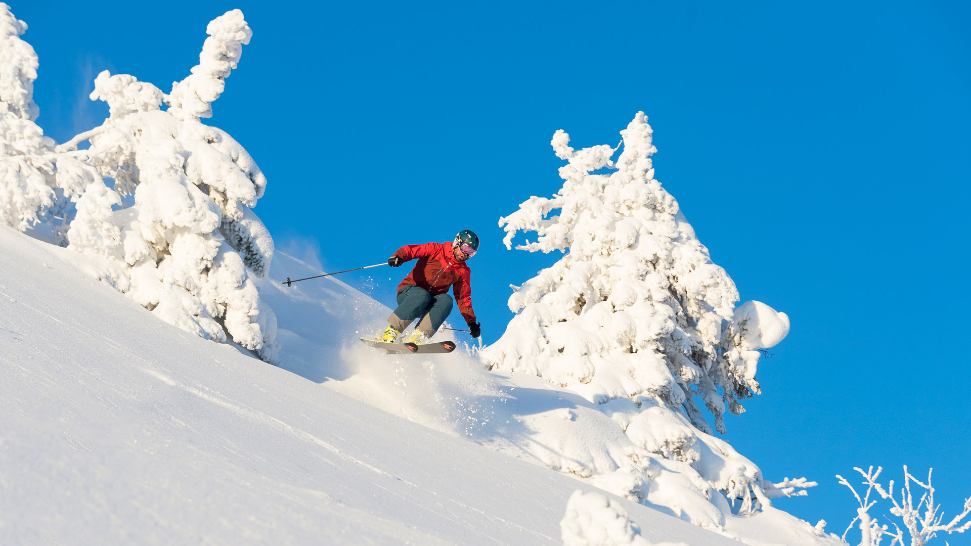 A person skiing down a snow-covered slope surrounded by frosty trees under a clear blue sky