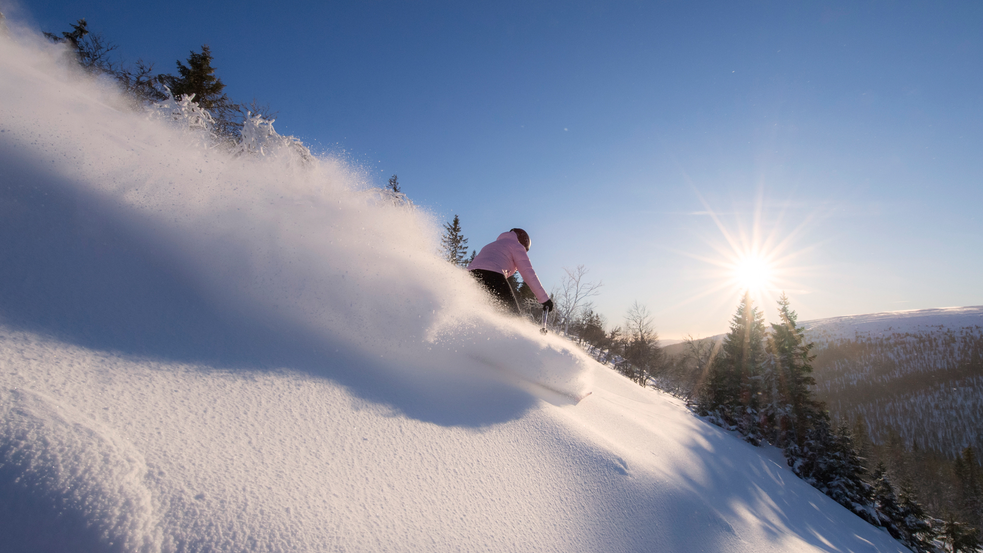 Skidåkare i rosa jacka åker nerför en snöig backe i solsken, omgiven av snötäckta träd och klarblå himmel