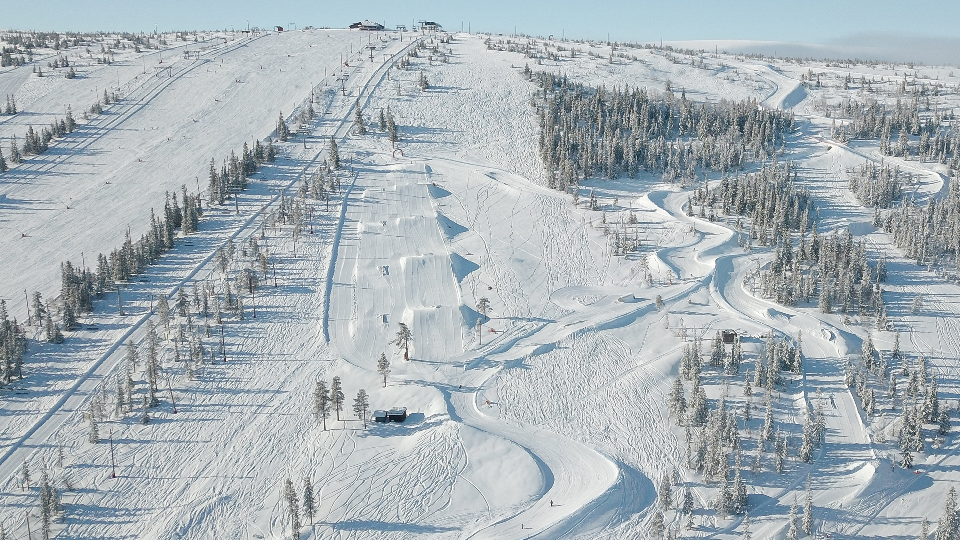 Vintrigt bergslandskap med snötäckta skidbackar och tallar i en skidresort