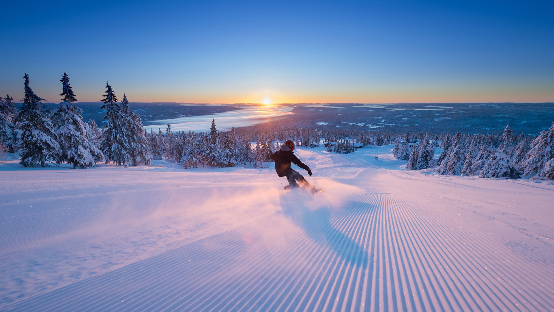 Snowboardåkare nedför en solbelyst pist i fjällandskap vid solnedgången, omgiven av snötäckta träd