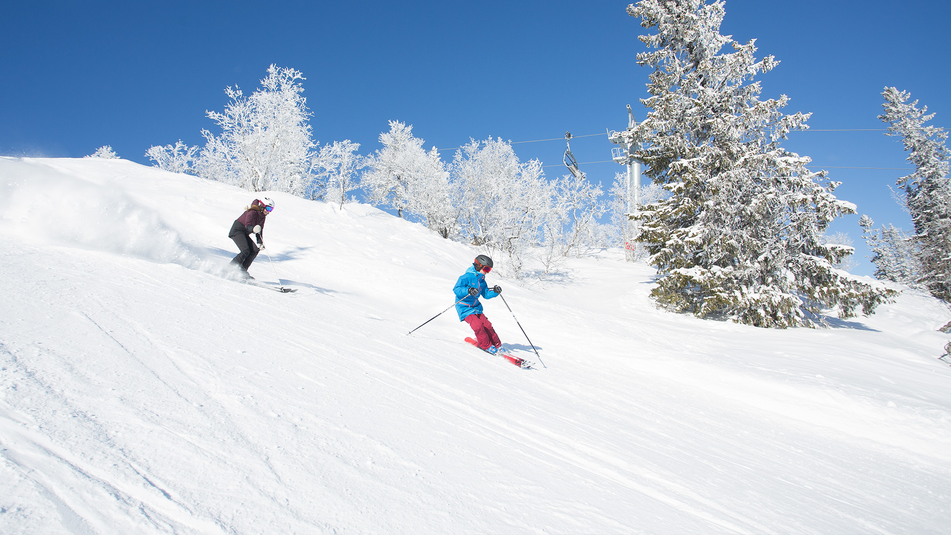 To personer står på ski ned ad en snedækket bakke med snedækkede træer og en klarblå himmel i baggrunden
