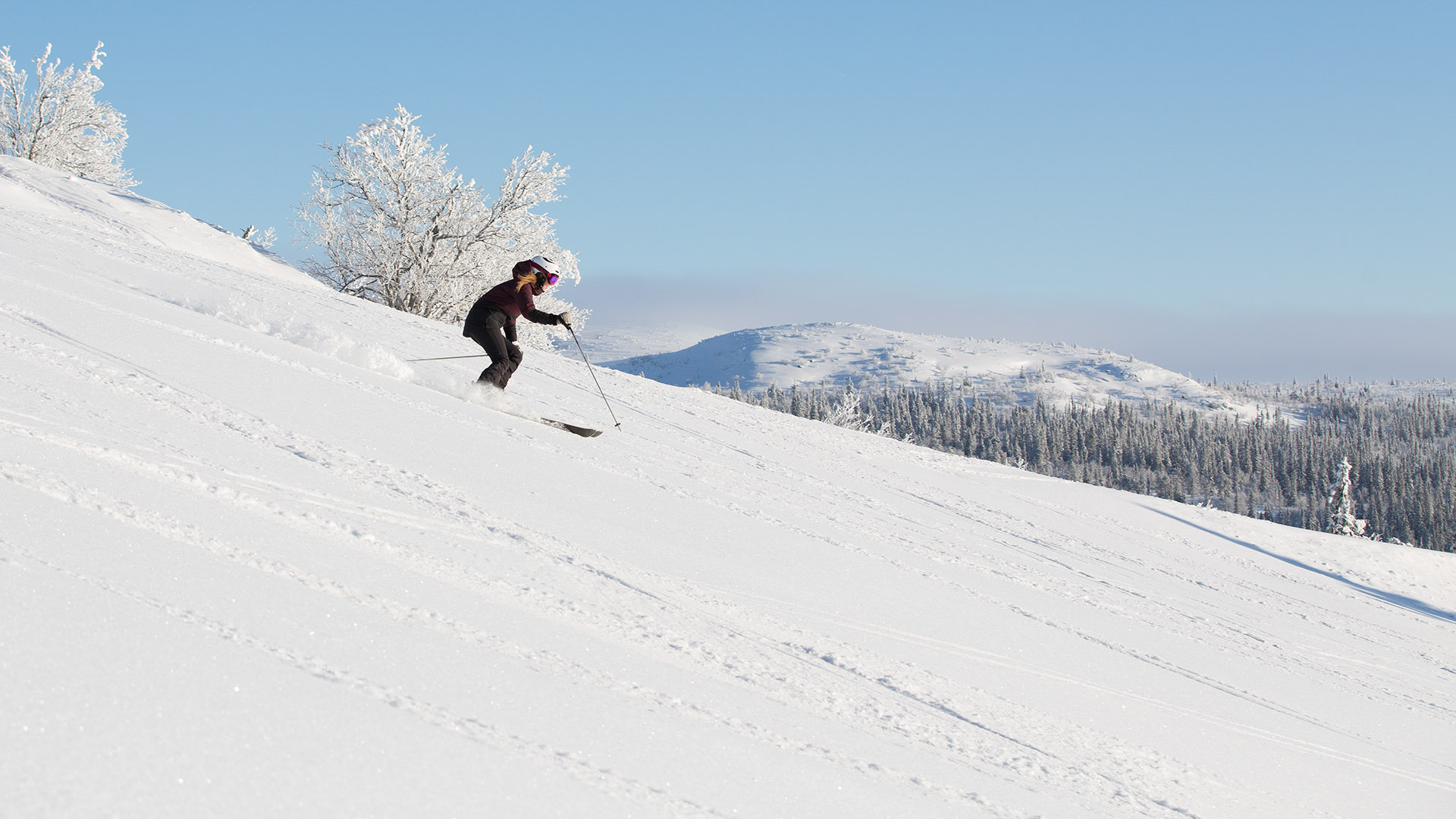 Person åker skidor nedför en snötäckt backe i ett vinterlandskap med snöklädda träd och berg i bakgrunden