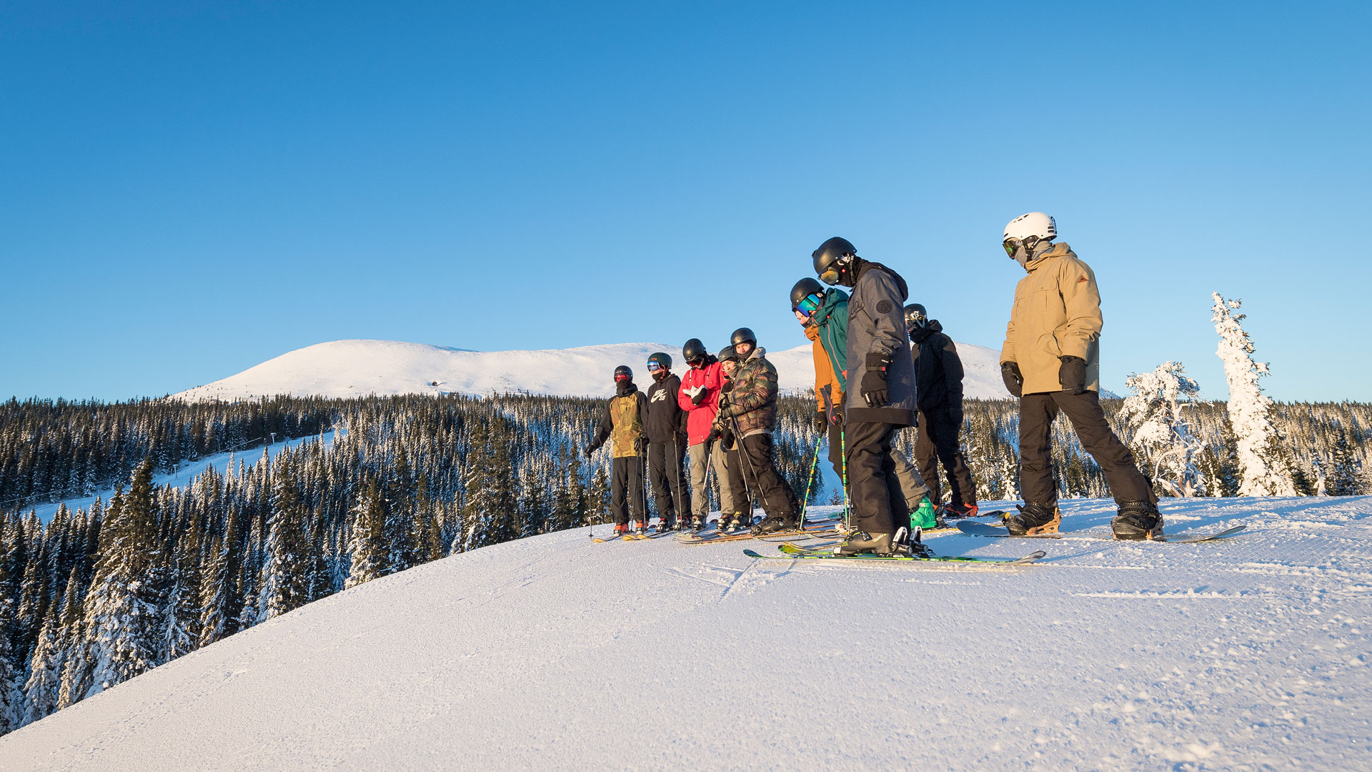 Grupp skidåkare på snötäckt bergstopp i soligt vinterlandskap med skog i bakgrunden