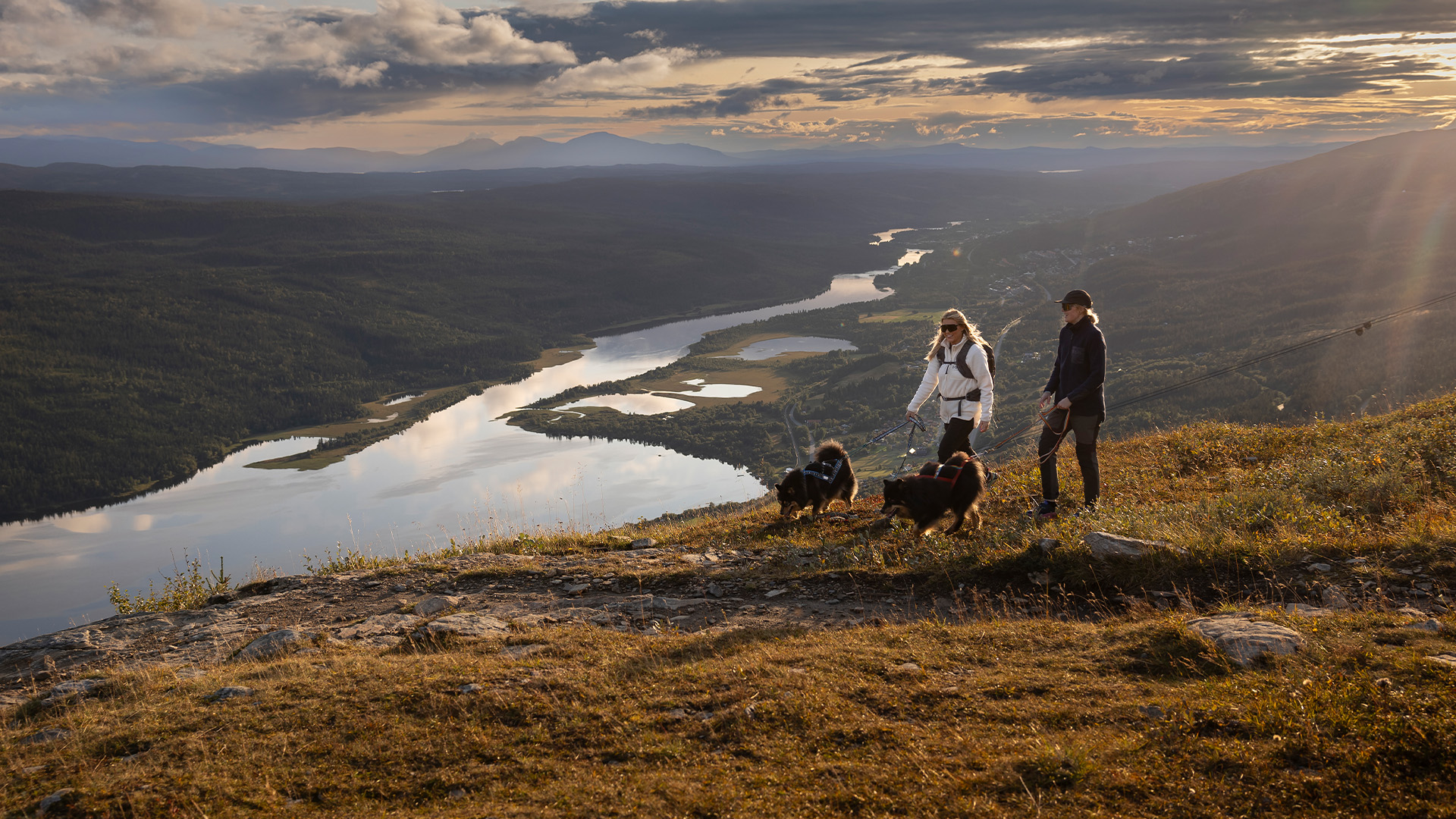 Två personer med hundar vandrar på en fjällsluttning vid en sjö i solnedgång, omgivna av skogar och berg