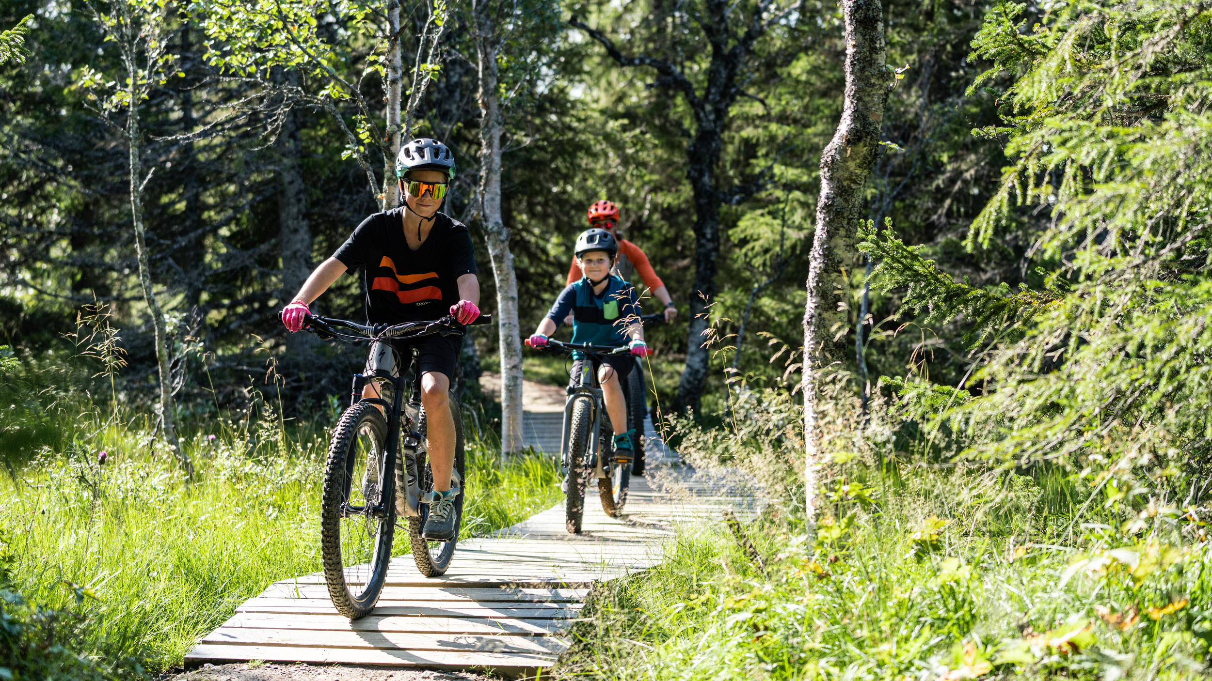 Two people are biking on a forest trail on a sunny day, surrounded by greenery and trees
