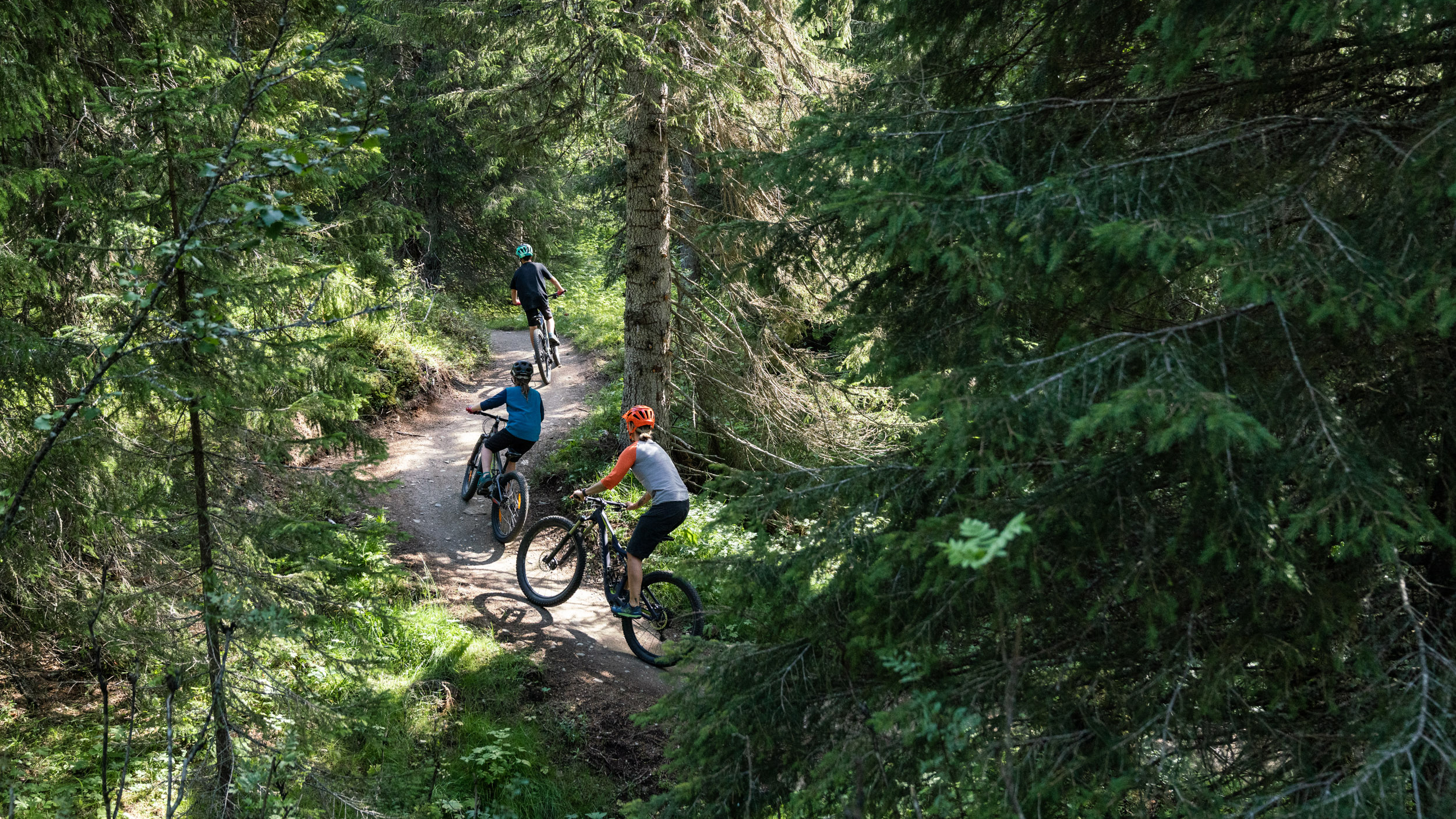Tre personer cyklar på en skogsstig omgiven av täta gröna träd i solskenet