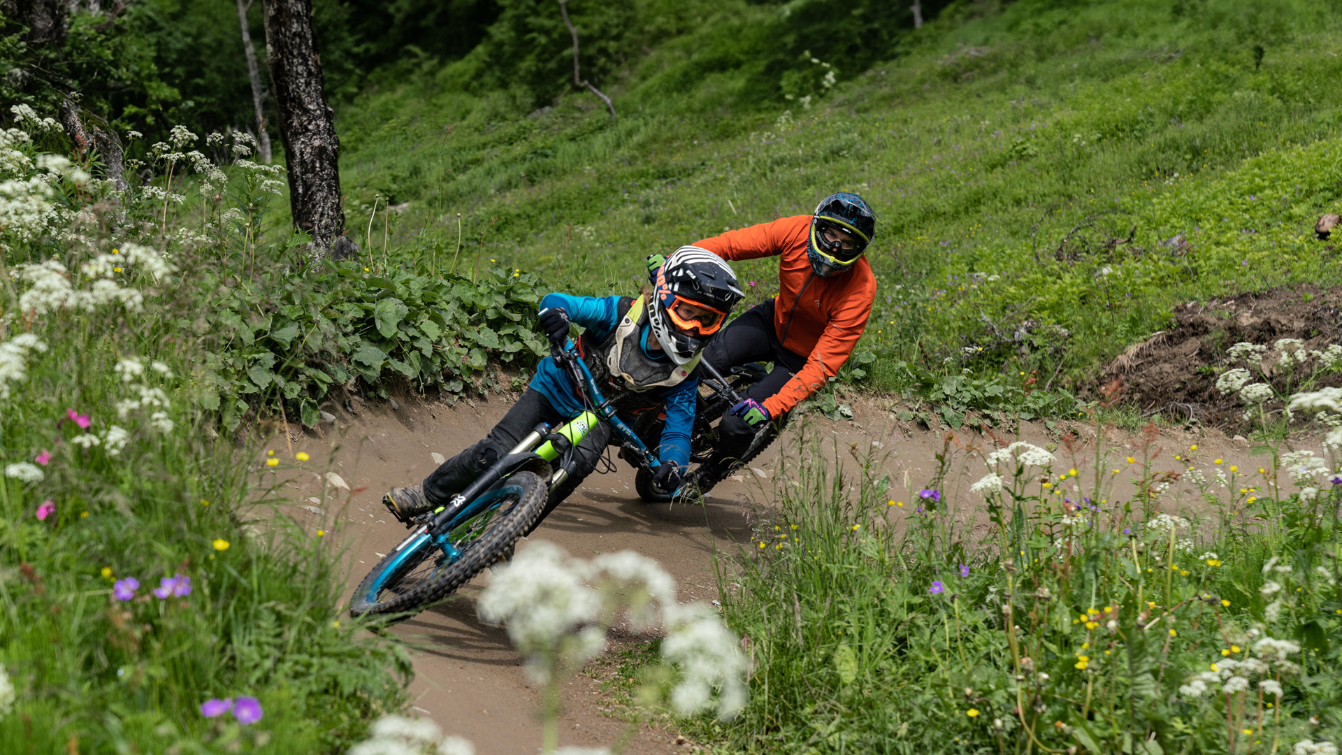 Två mountainbike-åkare svänger i en kurva på en grönskande cykelled, omgivna av vilda blommor och träd