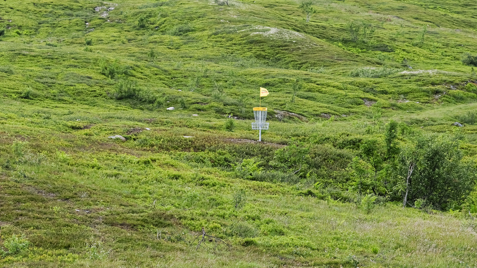 Diskgolfkorg på grön kulle omgiven av frodig vegetation under sommaren i Sverige