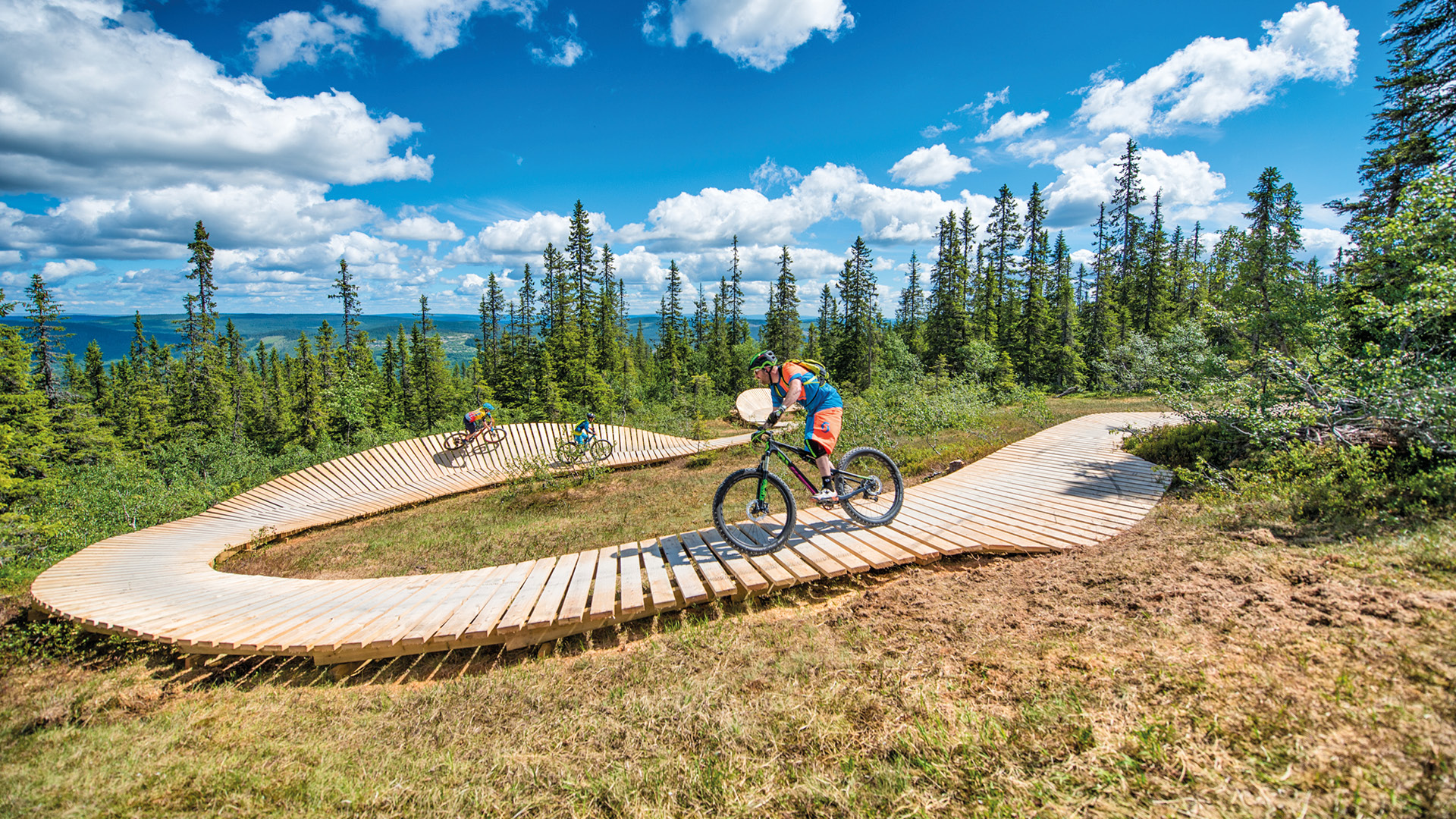 Cyklist på en slingrande mountainbikeled genom skogen under en solig dag i Norge