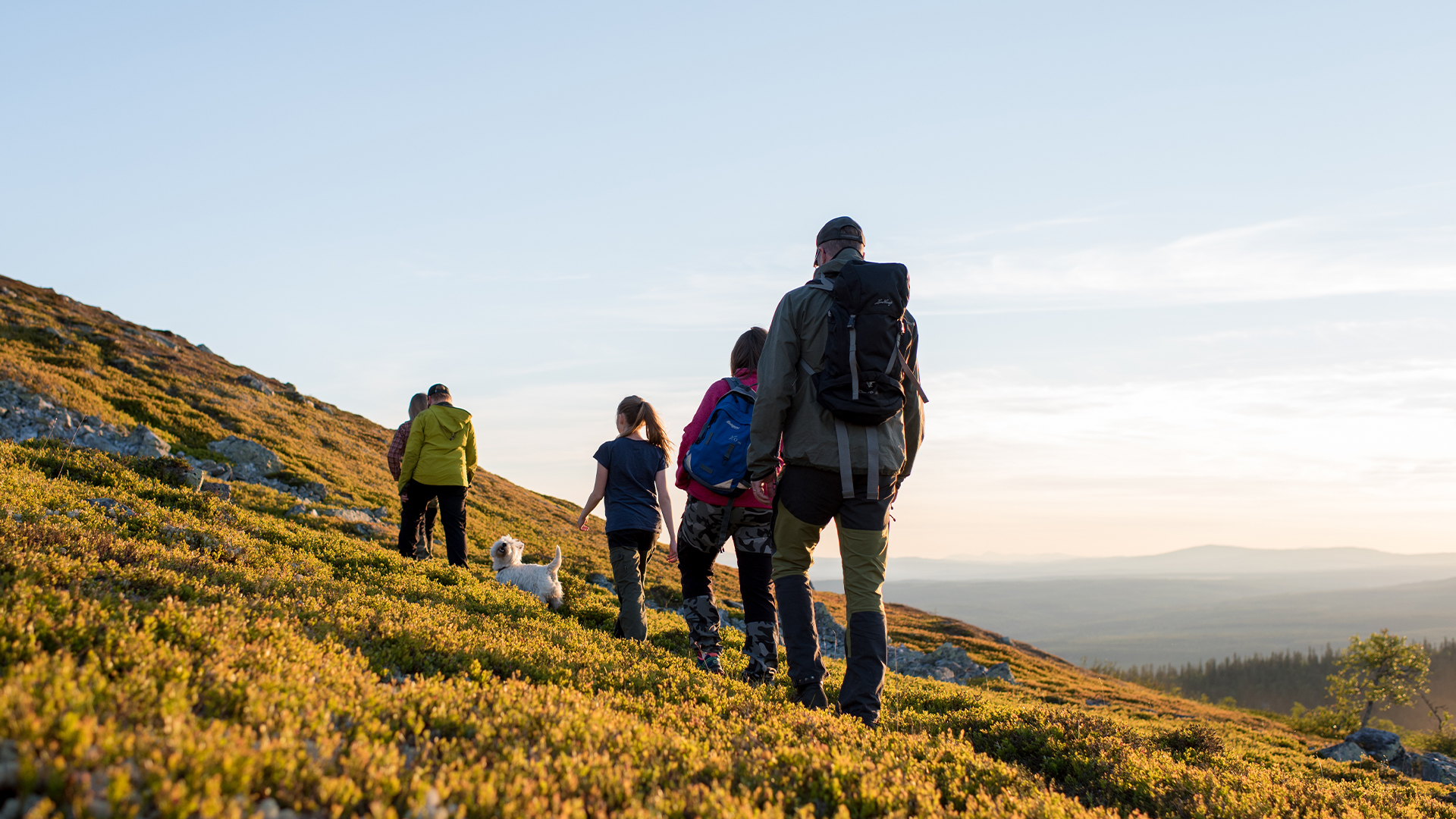 En grupp vandrare tillsammans med en hund på en solbelyst bergsstig, med utsikt över en vidsträckt dal och skog i bakgrunden