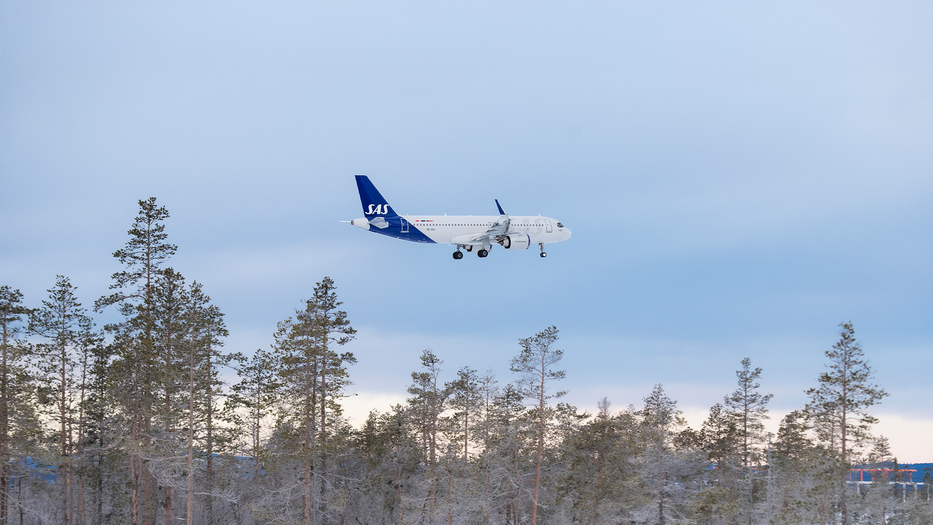 Flygplan från SAS landar över snöklädda träd under en klar vinterhimmel i Sverige